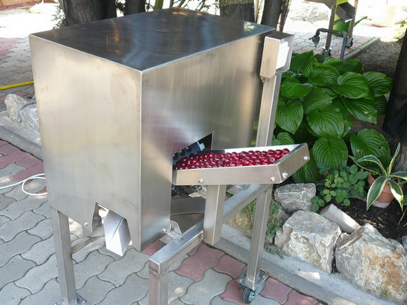 Meggymagozó gép - max.: 100kg/h